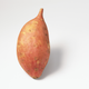 Image for article titled Today in tasty science: globe-trotting tubers, ocean-stirring shrimp